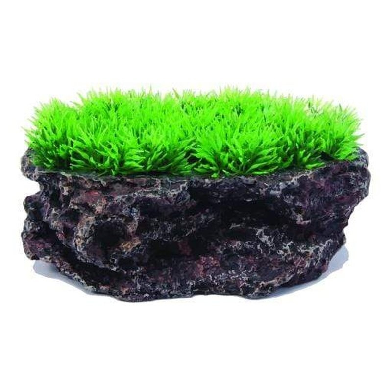 Aquatopia Flat Rock with Plant 18x13x8cm