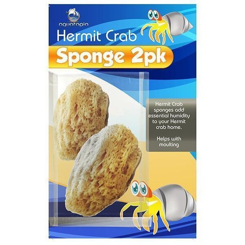 Aquatopia Hermit Crab Sponge 2 Pack