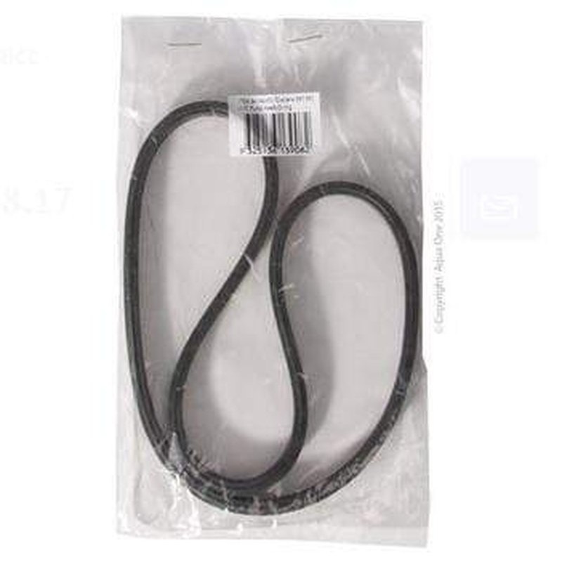 Aqua One O Ring for Pumphead - Ocellaris 850 850 UVC - 94144-po