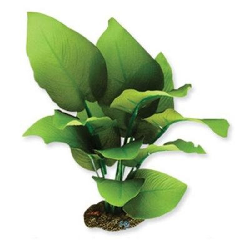 Aqua One Radican Green Sword Silk Plant