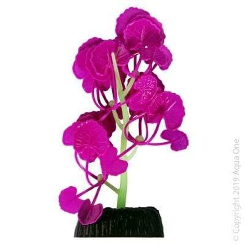 Aqua One Flexiscape Small Pennywort Purple Plants 11.5cm