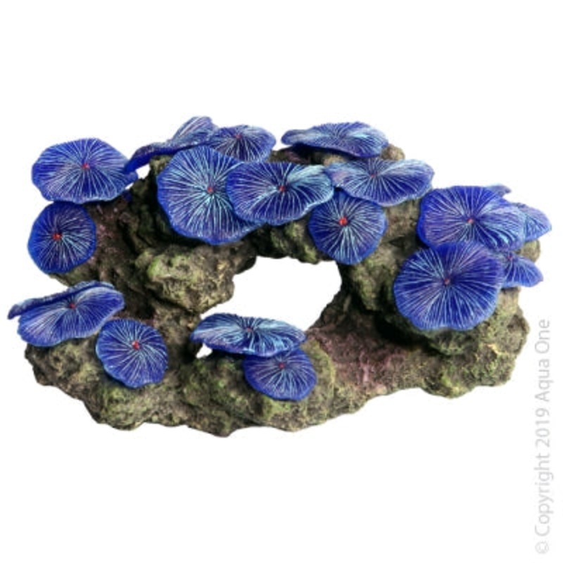 Aqua One Garden Blue 16 x 11.5 x 7.5cm