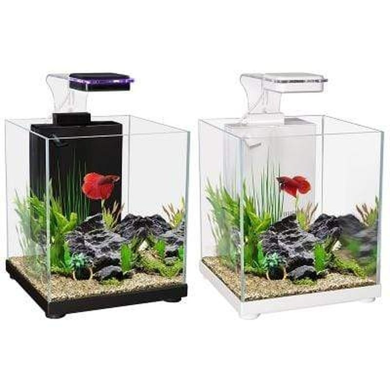 Aqua One Betta Sanctuary Glass Aquarium 10L