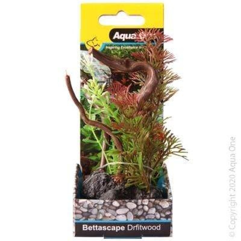 Aqua One Bettascape Mayaca Fern On Driftwood Green 15cm
