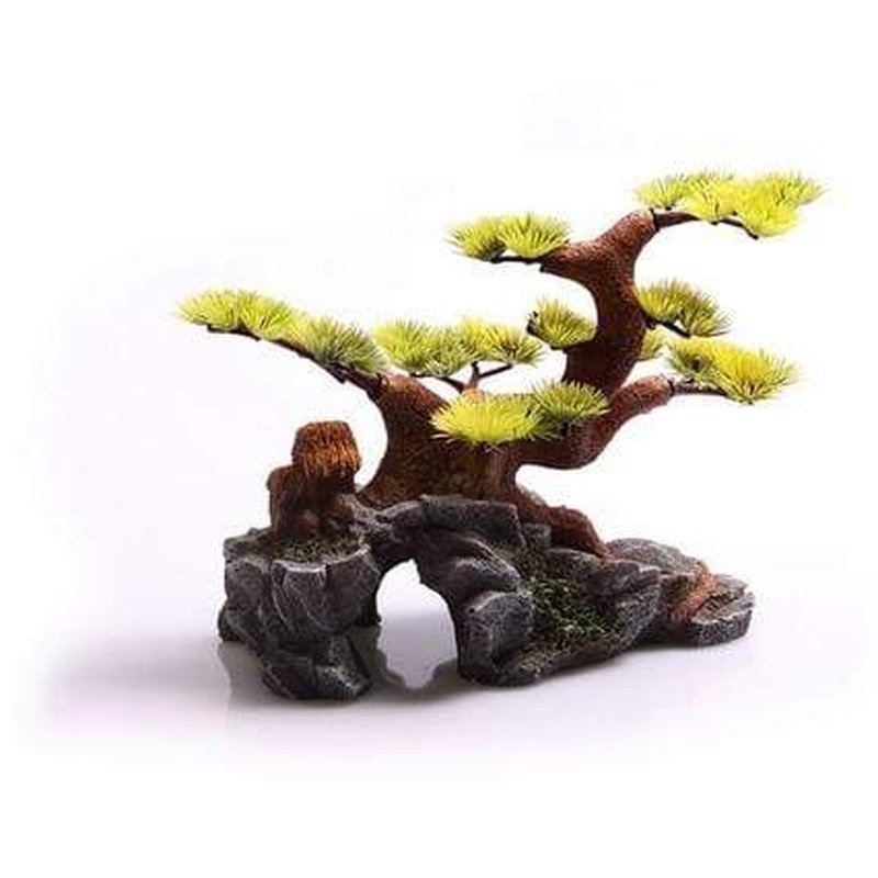 Aqua One Bonsai Large 24.5 x 17.5 x 17cm