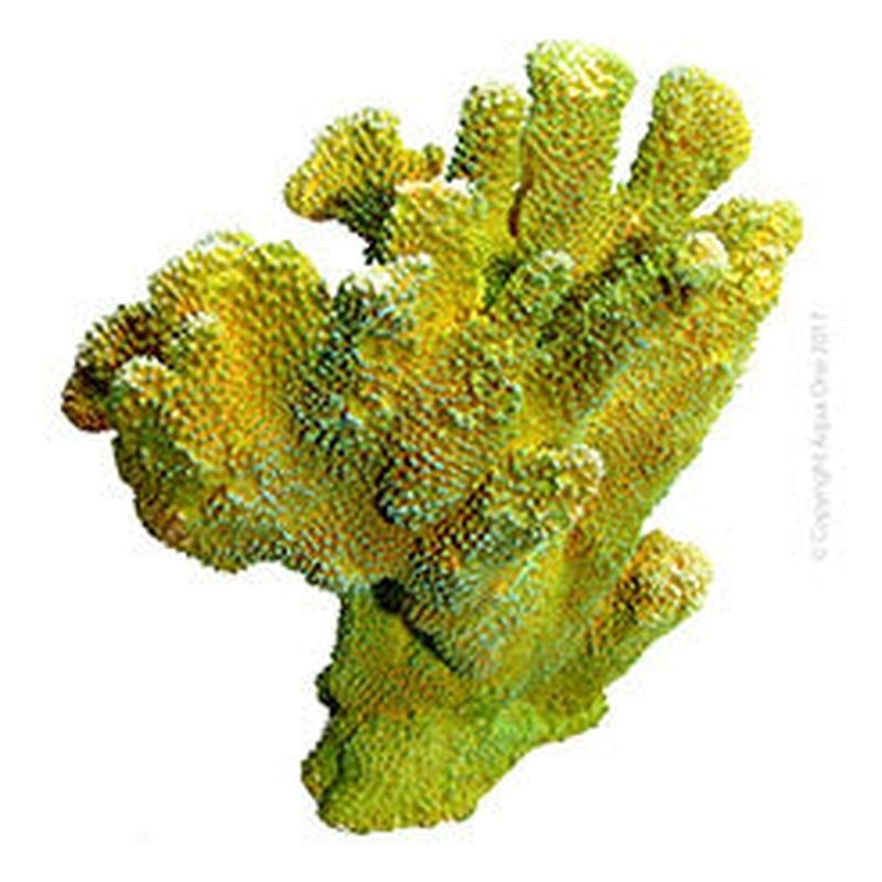 Aqua One Copi Coral Isopora 27 x 15.3 x 27.3cm