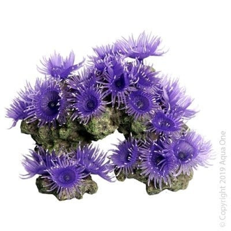 Aqua One Copi Coral Purple Garden 18 x 11 x 13cm
