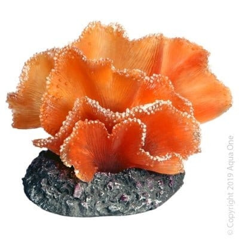 Aqua One Copi Coral Soft Kelp Brown 10.5 x 8 x 7.5cm