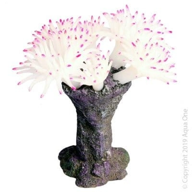 Aqua One Copi Coral Tube with Anemone 14.5 x 13.5 x 14cm