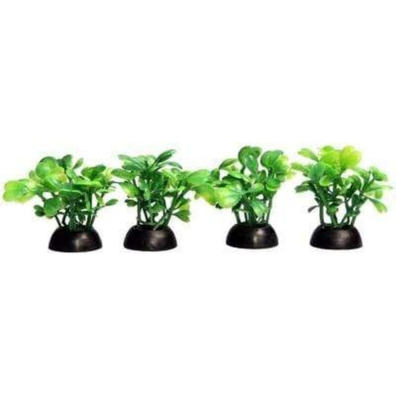 Aqua One Ecoscape Foreground Green Lobelia 5cm 4 Pack