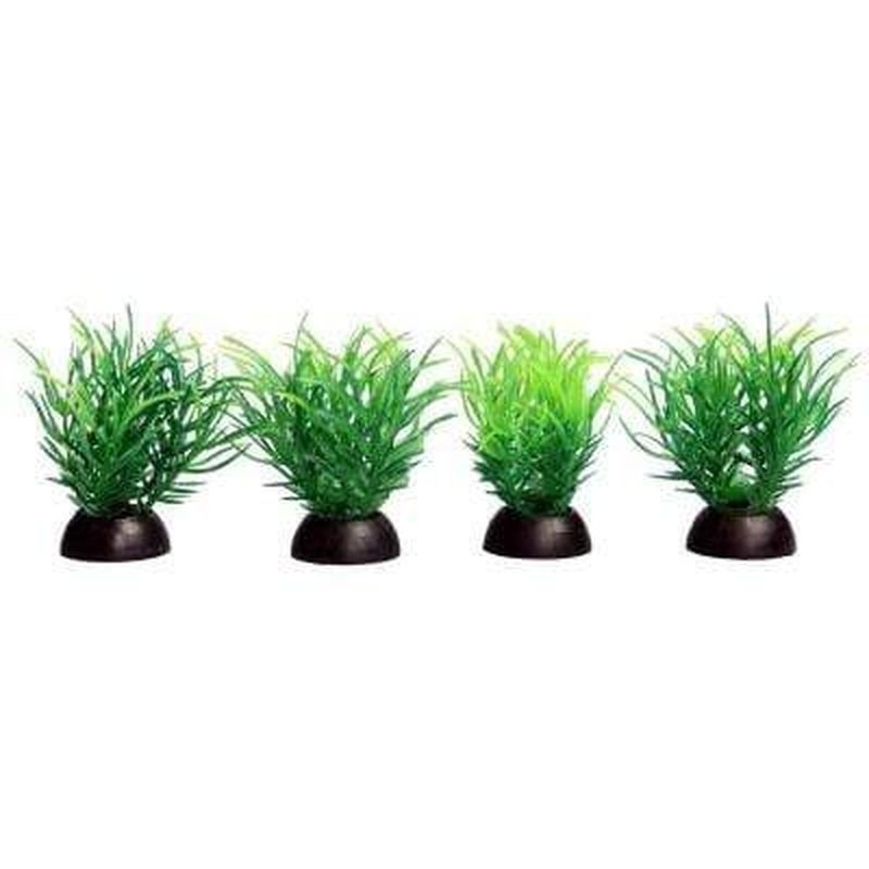 Aqua One Ecoscape Foreground Green Ricca 4 Pack