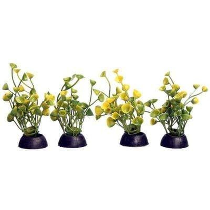 Aqua One Ecoscape Foreground Yellow Ogris Auribus 8cm 4 Pack