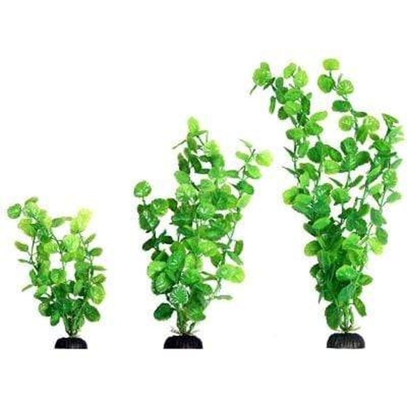 Aqua One Ecoscape Green Cardamine