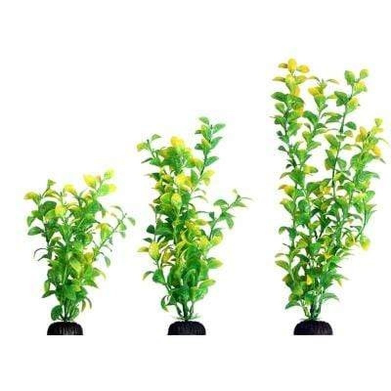 Aqua One Ecoscape Green Hygro