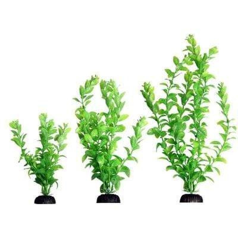 Aqua One Ecoscape Green Poly Hygro