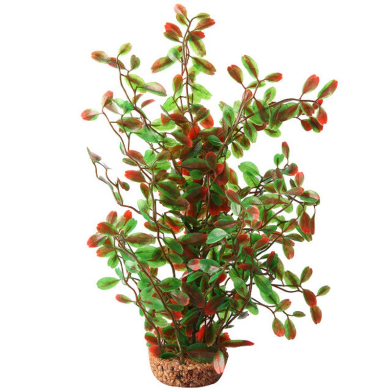 Aqua One Ecoscape Large Calidum ET Folius Green
