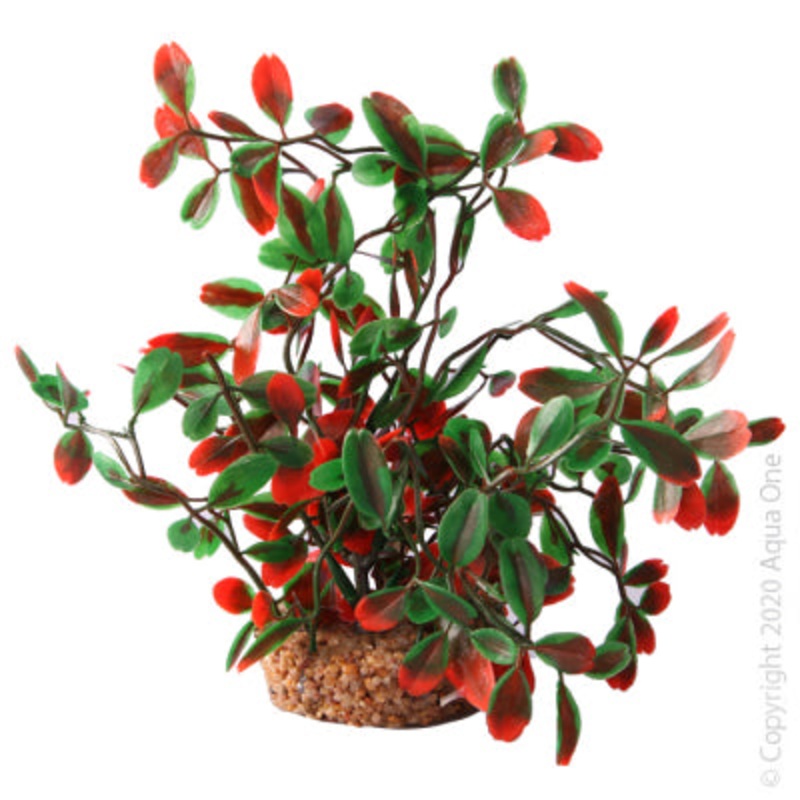Aqua One Ecoscape Medium Calidum ET Folius Green