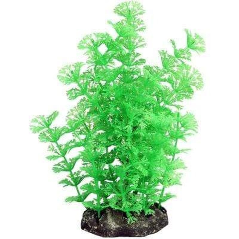 Aqua One Ecoscape Medium Green Ambulia 20cm