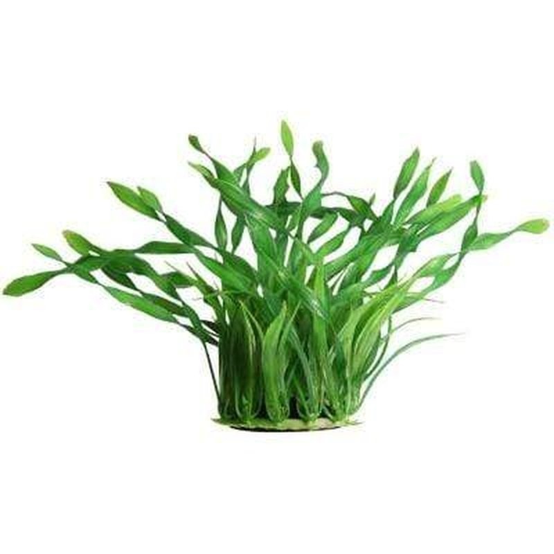 Aqua One Ecoscape Medium Green Corkscrew Val 20cm