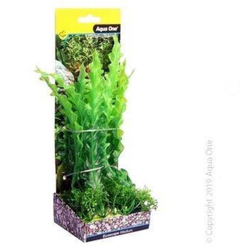 Aqua One Ecoscape Medium Ruffled Lace Plant Green 20cm