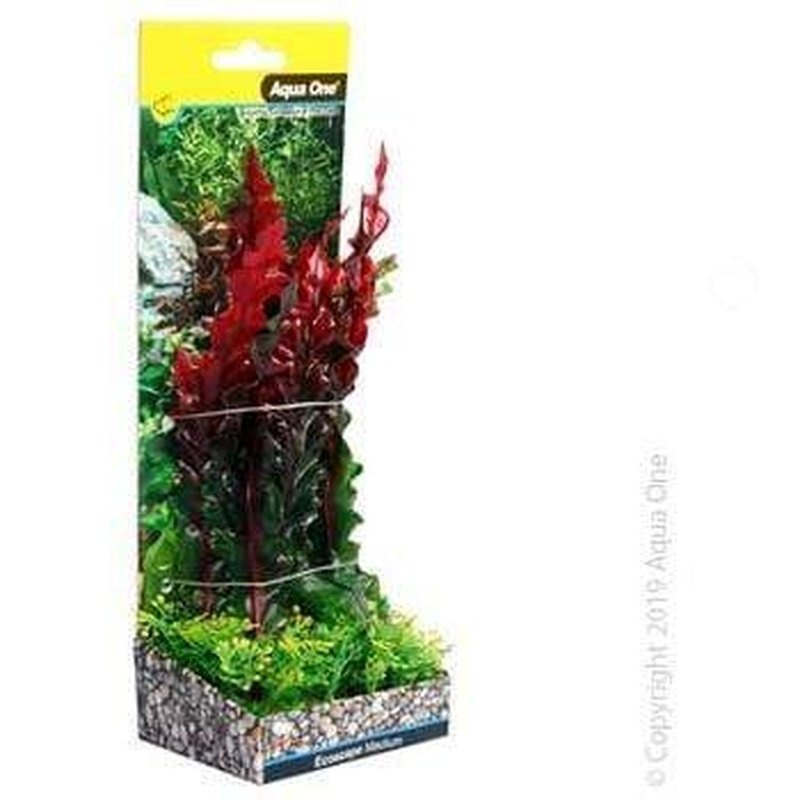 Aqua One Ecoscape Medium Ruffled Lace Plant Red 20cm