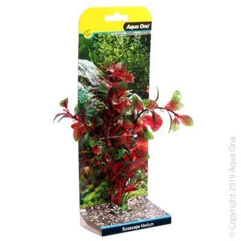 Aqua One Ecoscape Red Hygro 30cm