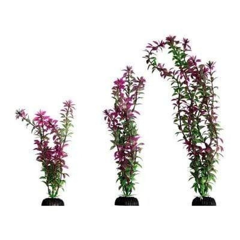 Aqua One Ecoscape Red Rotala
