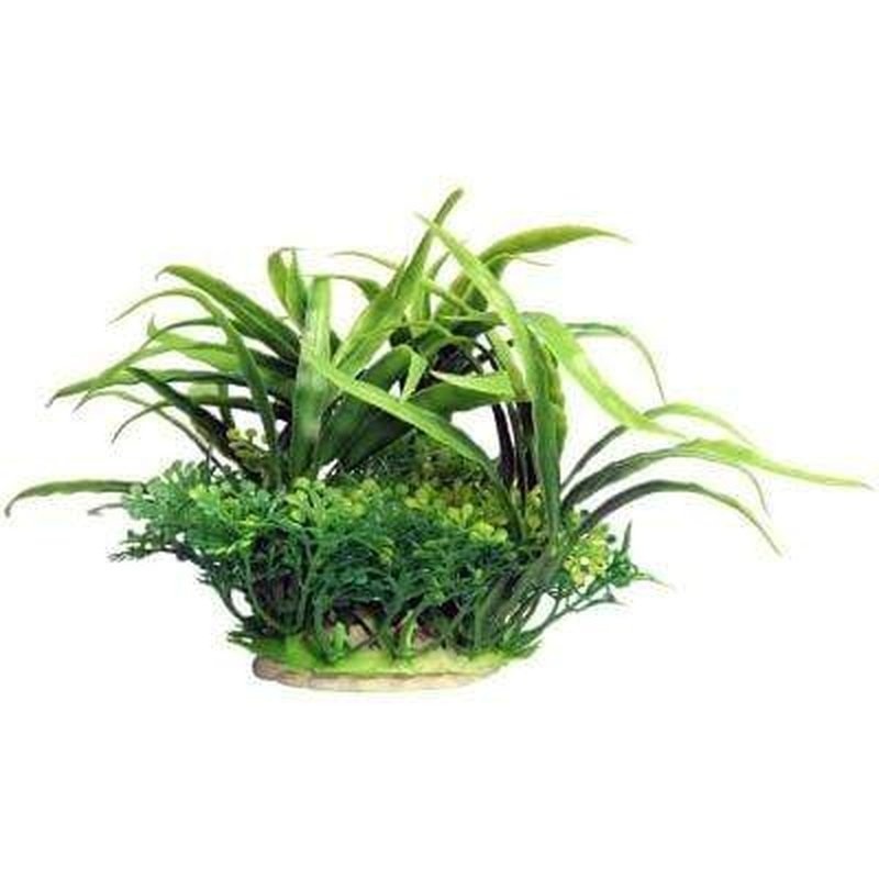 Aqua One Ecoscape Small Green Crinum 10cm