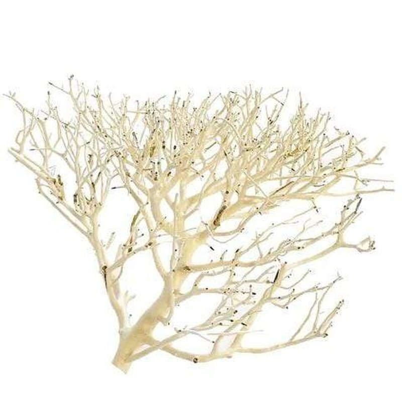 Aqua Natural Coral Wood