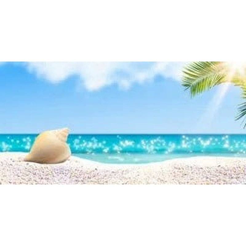 Aqua Natural Hermit Beach Background