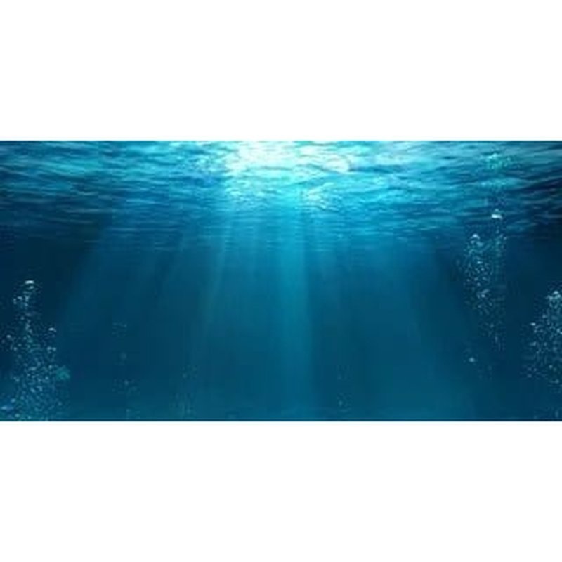 Aqua Natural Underwater Background