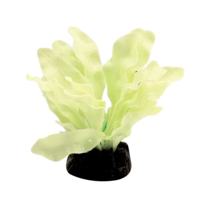 Aqua One  Glow In The Dark Sword Plant 5cm