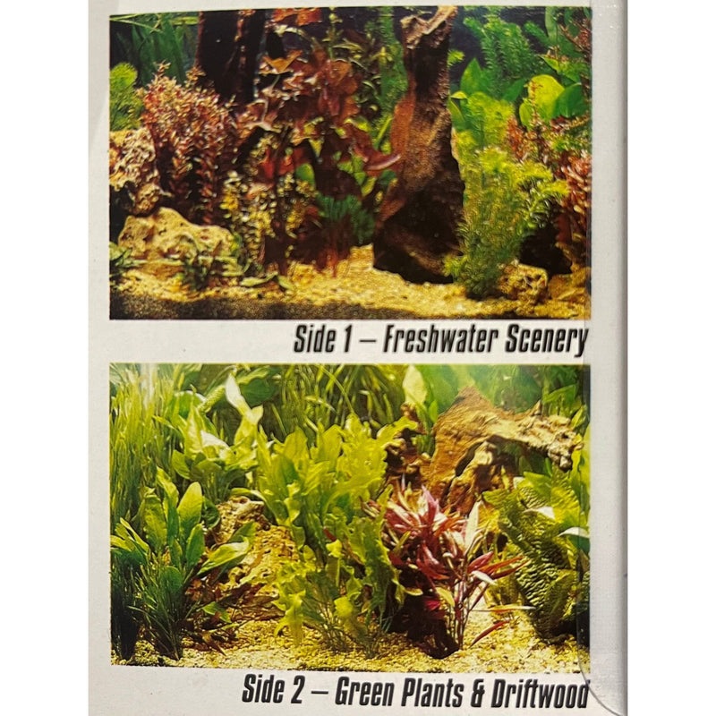 Marina Double Sided Single Roll 50 x 30cm - Plants/Driftwood