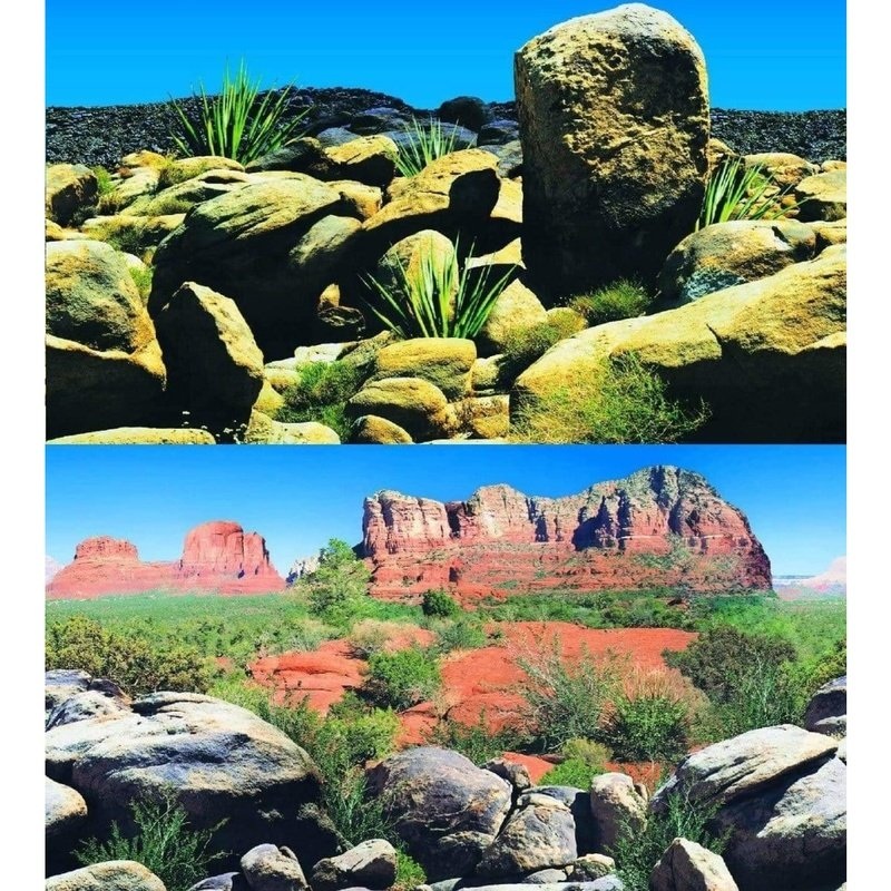 Marina Seaview Background Arizona Desert 30cm High