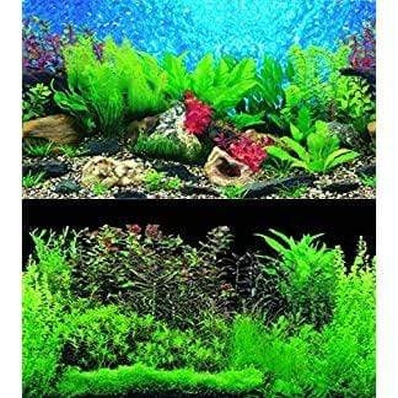 Marina Seaview Background Blue Hawaii/Black Seaweed 30cm High