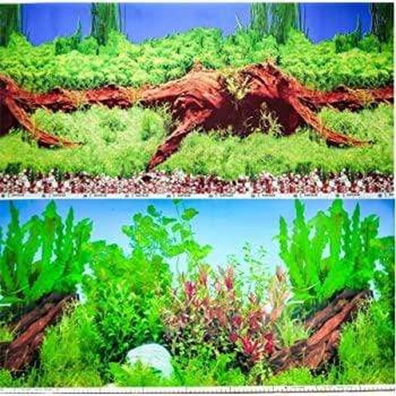 Marina Seaview Background Blue Spring Wood/Aquatic Plants 30cm High