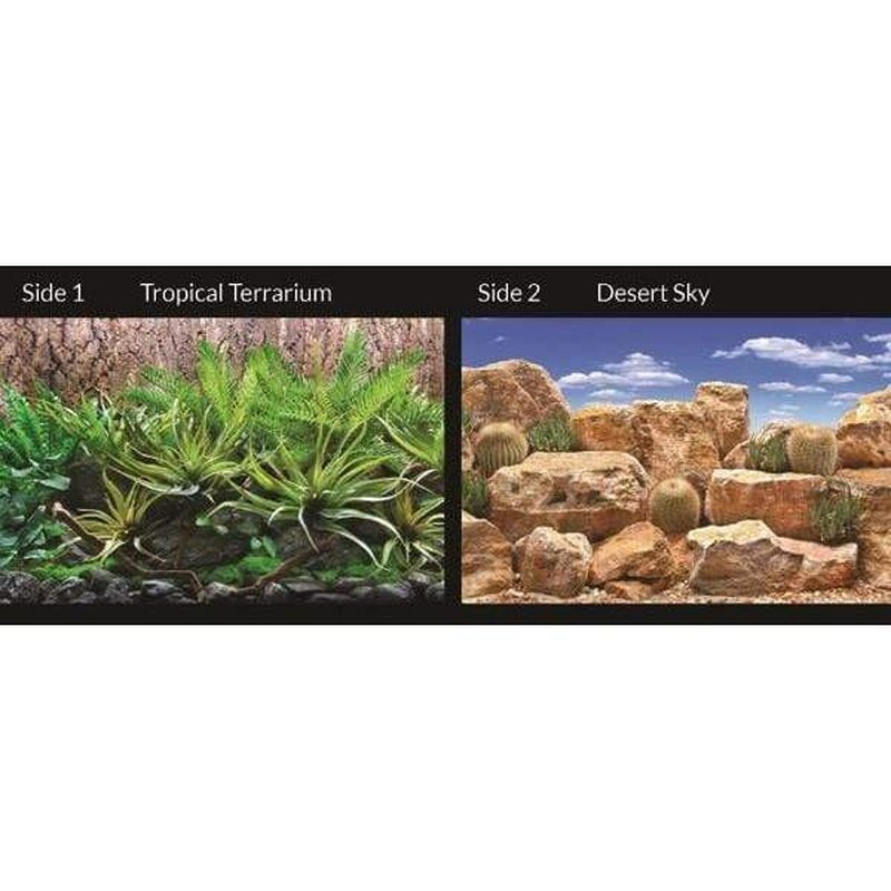 Marina Seaview Background Tropical Terrarium/Desert Sky 30cm High