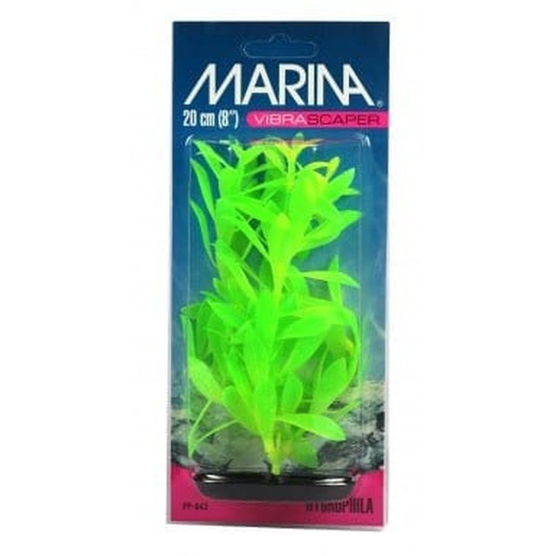 Marina Vibrascaper Medium Hygrophilia Plant 20cm