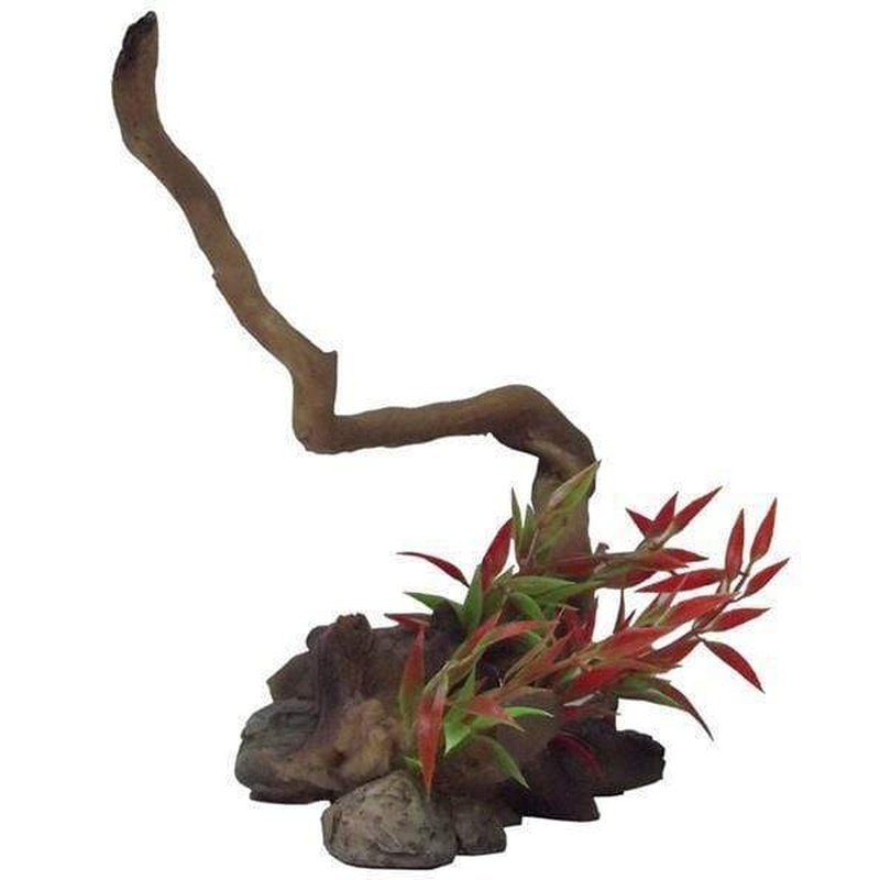 Neptune Driftwood with Plants Large #2 20cm