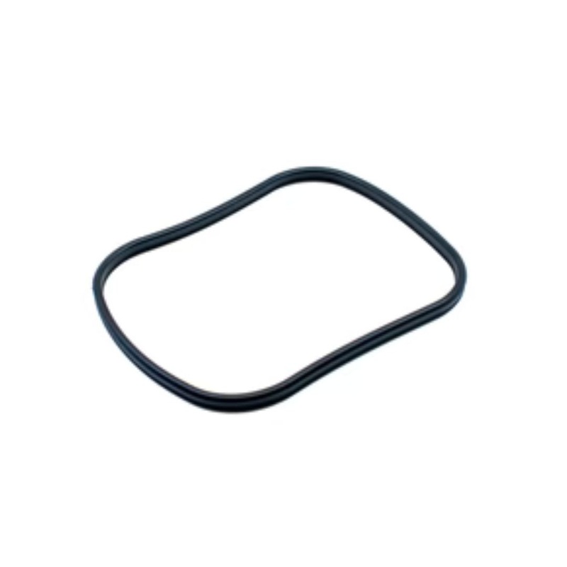 Oase BioMaster Main Gasket (45148)