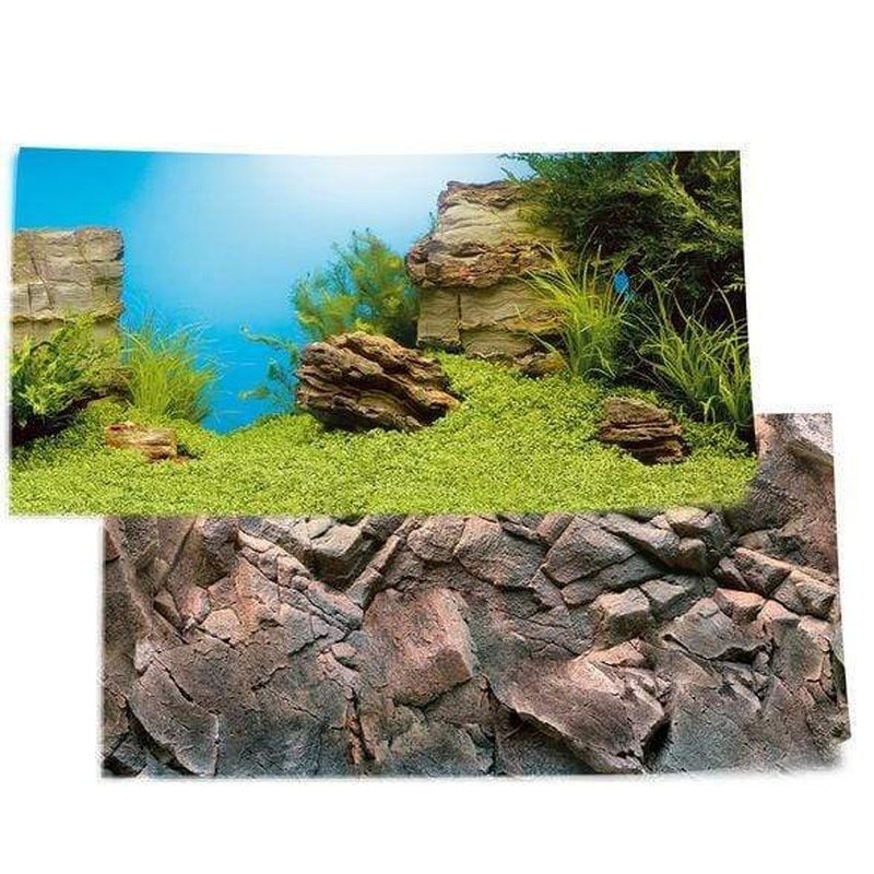 Juwel Poster 1 Rock/Plant
