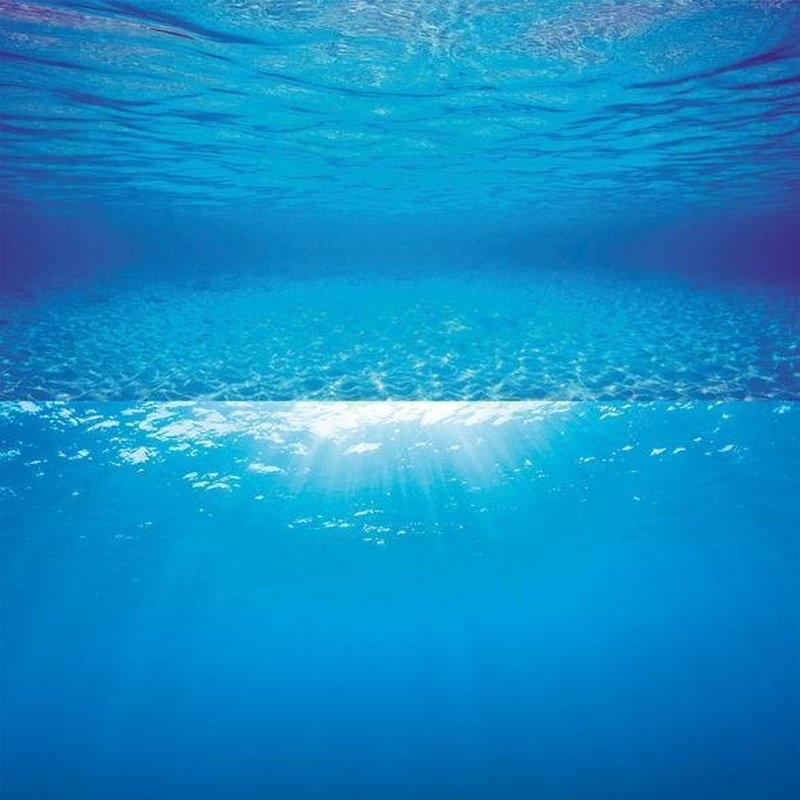 Juwel Poster 2 Underwater Images