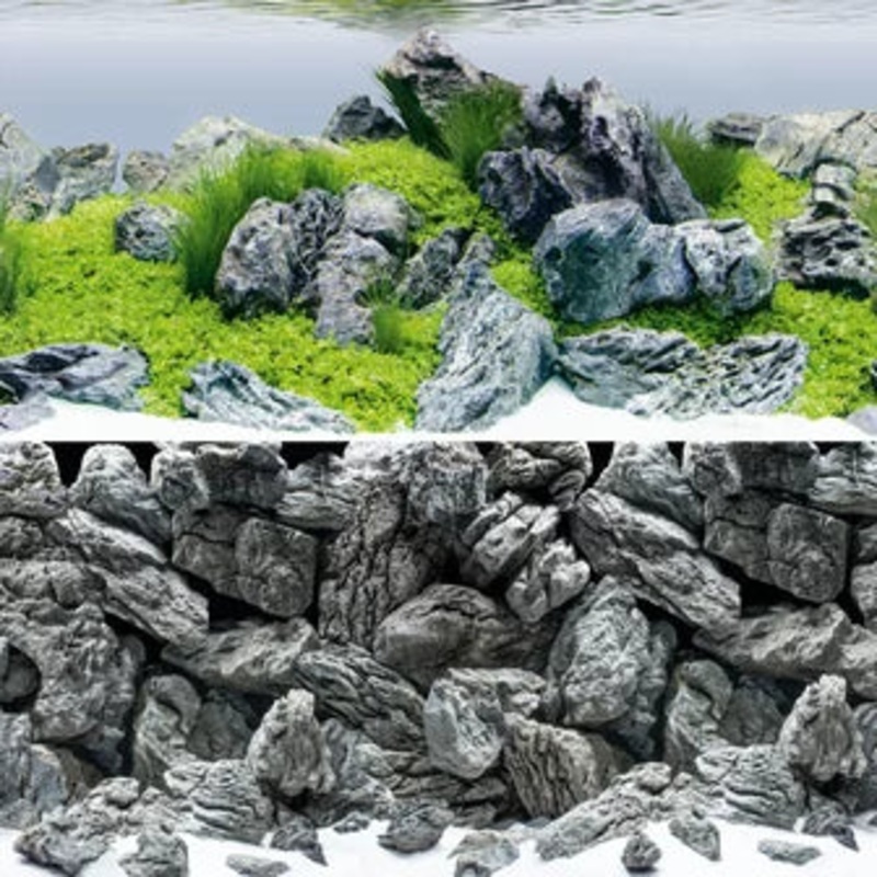 Juwel Poster 4 Rock/Aquascape