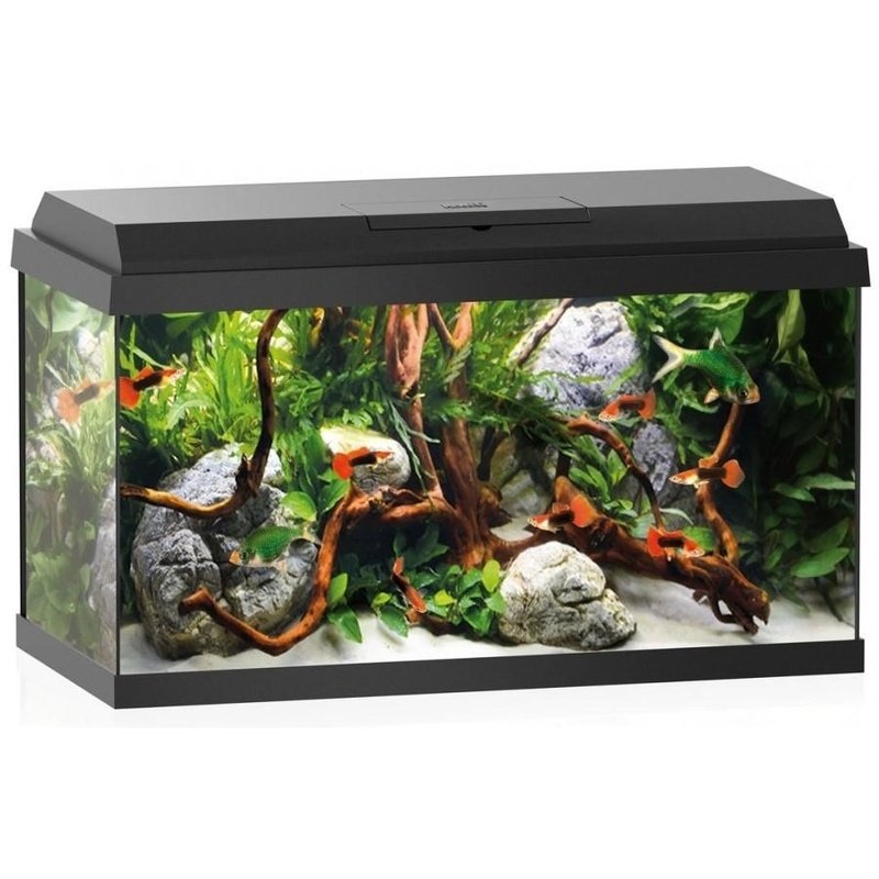 Juwel Primo 60 Aquarium Black (57L)