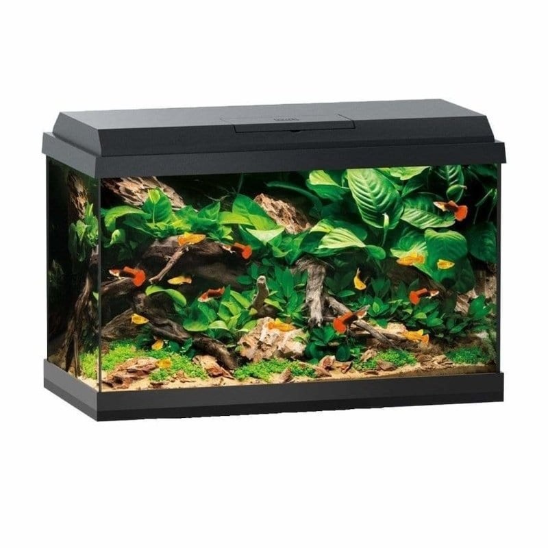Juwel Primo 70 LED Aquarium (70L)