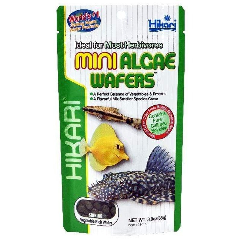 Hikari Mini Algae Wafer