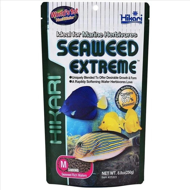 Hikari Seaweed Extreme