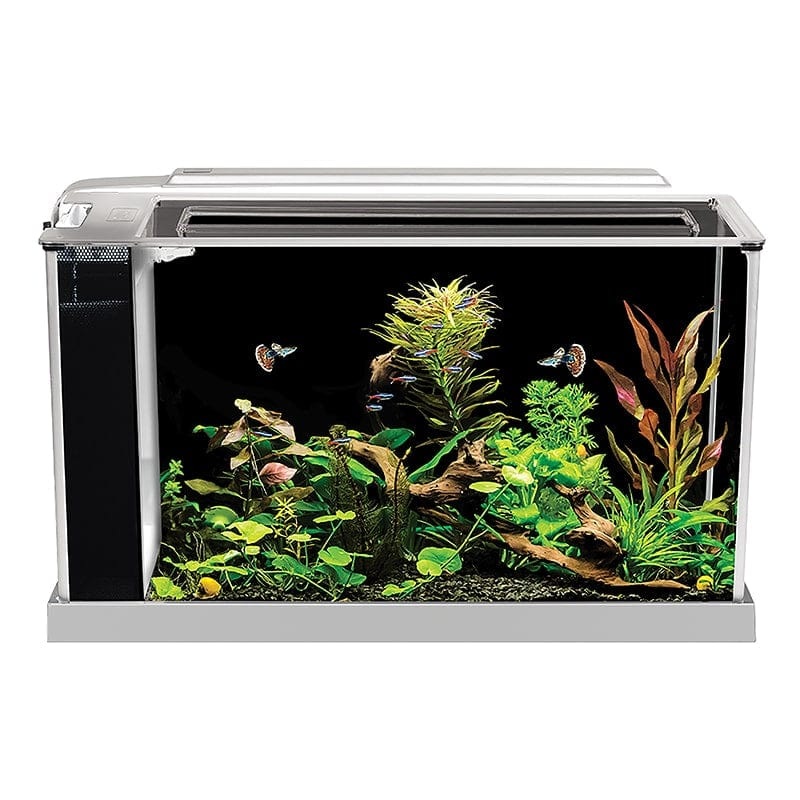 Fluval Spec 5 V2 Aquarium Kit 19L