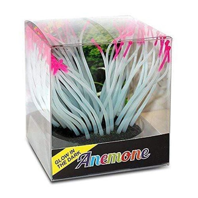 Glow in the Dark Pink Tipped Anemone