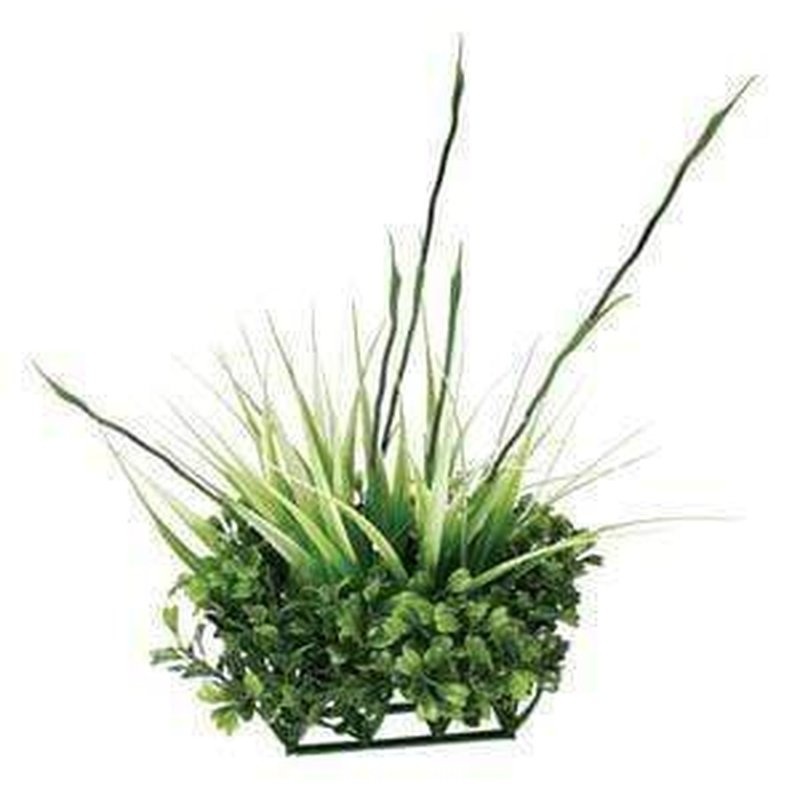 Fluval Chi Aquarium Boxwood with Tall Grass
